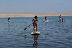 Rental paddle go paracas