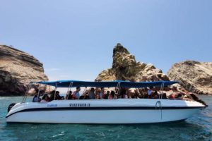 islas ballestas go paracas